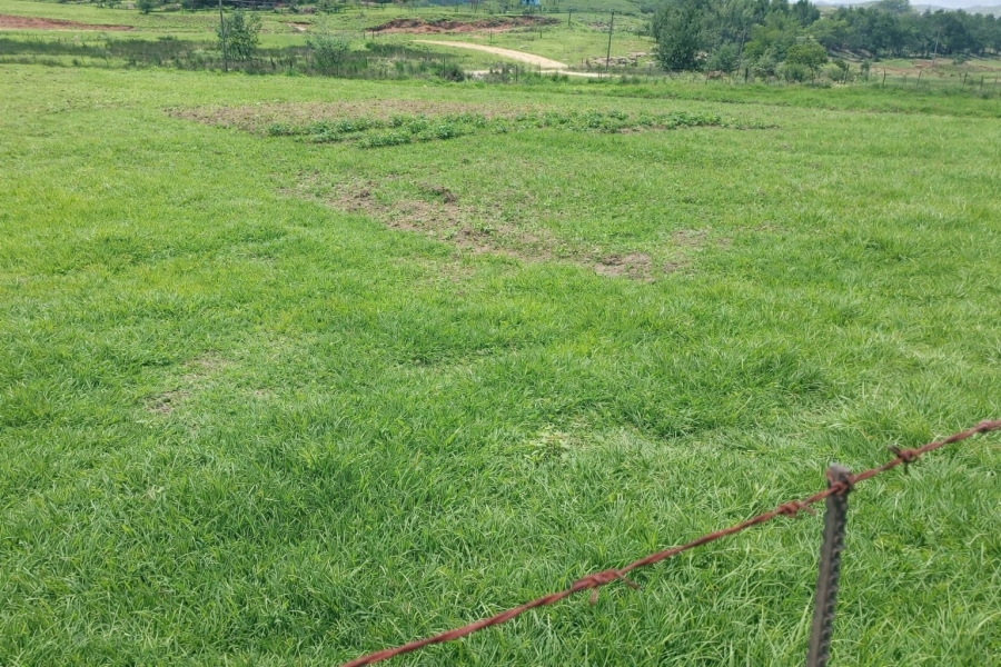 3 Bedroom Property for Sale in Maclear Rural Eastern Cape